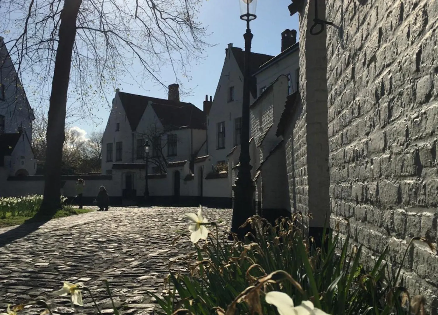 Royal Swans B&B Bruges Belgium