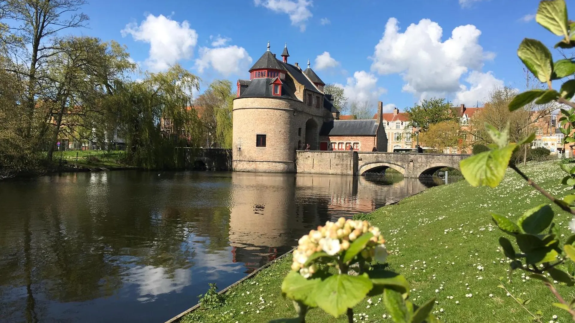 Bed & Breakfast Royal Swans B&B Bruges Belgium